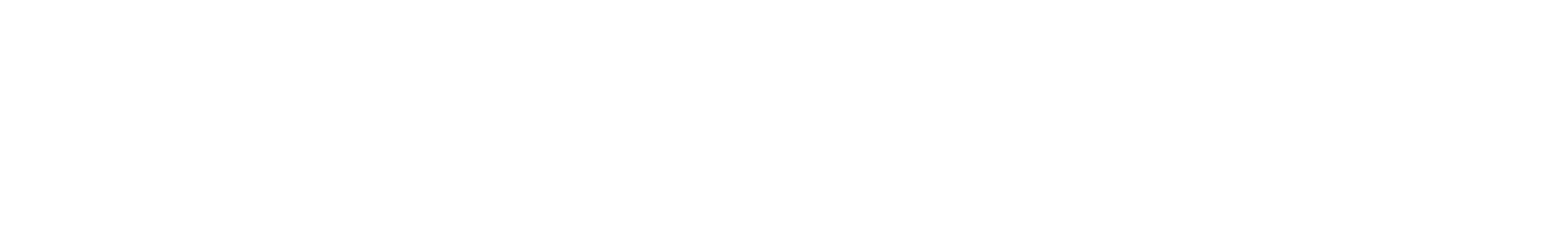 logo-straxecute